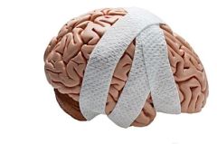 REHB020 - Traumatic Brain Injury