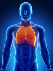 INF006S - Entrenamiento Sobre la Tuberculosis para los Proveedores del Cuidado de la Salud