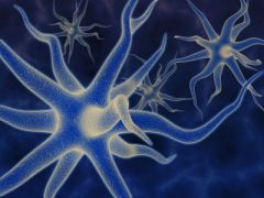 REHB012a - A Practical Approach to Transcutaneous Electrical Nerve Stimulation