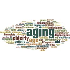 AGE003 - Aging and Ethnicity