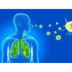 RESP023 - Overview of Bronchitis