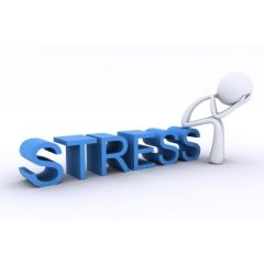 HR010 - Stress Management