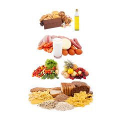 PEC010 - Introduction to Enteral Nutrition Pumps