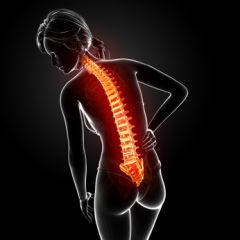 REHB019 - Spinal Cord Injury